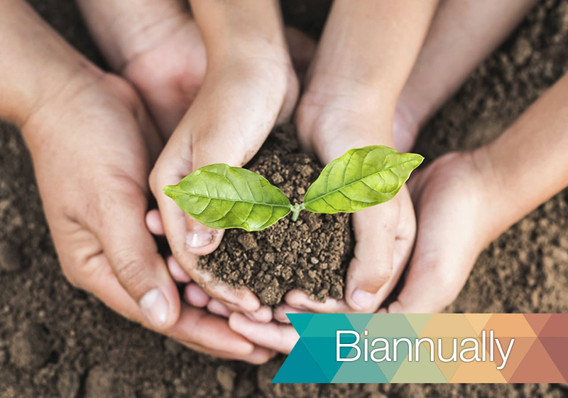 Sign up for Emplify (6 months subscription)